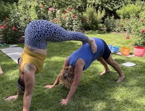 Partner & Friend Yoga